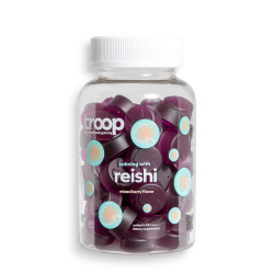 Reishi Mushroom Gummies for Destress/Sleep