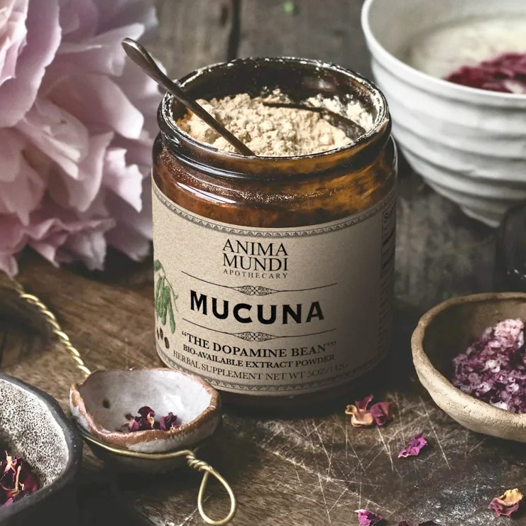 Mucuna - ANIMA MUNDI